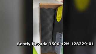 128229-01 Monitor sismico Bently Nevada 3500 42M